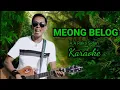 Download Lagu A A Raka Sidan - Meong Belog ( Karaoke )