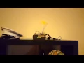 Raspberry Pi Email Notifier