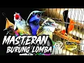Download Lagu MASTERAN MURAI BATU FULL ISIAN TEMBAKAN MEWAH DURASI PANJANG