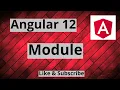 Angular 12 What is Module