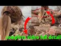 Midwestemma Viral Reddit - Emma Claire Viral news