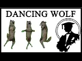 Where Did The Dancing Wolf Come From