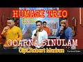 Download Lagu GOARNA SINULAM || HUMASI TRIO (@simarmatamargana