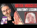 Download Lagu MUSCLE ANATOMY: How to avoid side effects \u0026 maximise Botox efficiency [Aesthetics Mastery Show] MP3