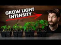 Lagu THIS Is the Best Grow Light Intensity for Seedlings