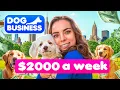 5 Easy Steps to Start Dog Walking NYC Walker Makes 2K a Week