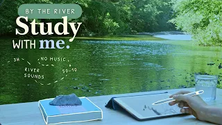 3 HOUR STUDY WITH ME Summer Day At The River River and Nature Ambience No Music 50-10