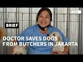 Download Lagu Indonesia 'dog doctor' rescues canines from butcher peril | AFP