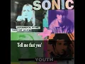 Sonic Youth - Bull in the heather