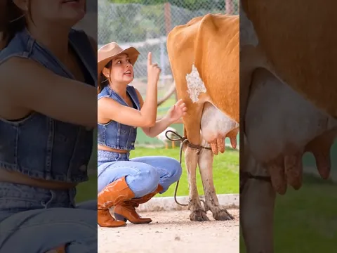 A Patricinha conhece o Cowboy - Ep. 2 #Novelinhas #series #miniseries #jujufranco