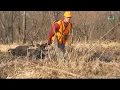 Tips for Hunting Public Land -