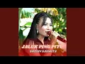 Download Lagu JALUK PING PITU (Live)