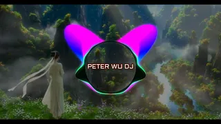  qian nian deng yi hui remix 2019