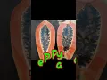 Download Lagu Buah Buah Segarr \