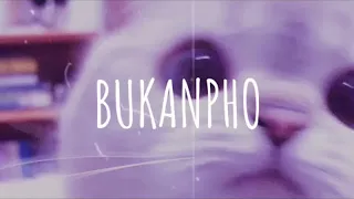  vietsub lyric bukanpho dj desa remix music tik tok