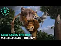 Alex Saves the Day in Every Madagascar Movie