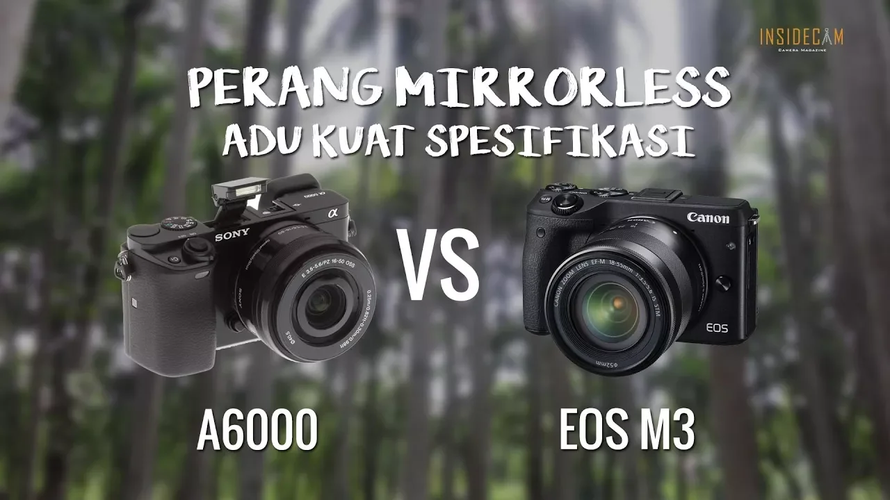 Canon EOS M100 vs Sony alpha a6000. 