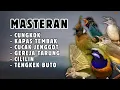 Download Lagu ‼️ MASTERAN MURAI BATU MATERI TEMBAKAN KASARAN BESETAN