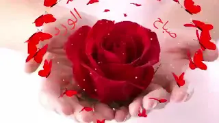 صباح الورد لاحلى ناس 