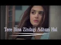 Download Lagu TERE BINA ZINDAGI HAI/lagu India terbaru 2025/Bollywood song/lagu India sedih/romantis #music #song