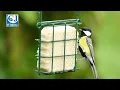 National Trust Rhine Peanut Cake Square Feeder