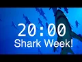 20 Minute Countdown Timer with Alarm Relaxing Music Shark Timer Shark Week