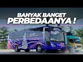 Lagu KALIAN HARUS TAU TERNYATA ADA BUS SE UNIK INI⁉️ Trip Ambulu Surabaya Princess Body Langka Euroliner 