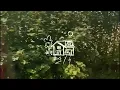 Locksmith - Sadie Jean (Official Lyric Video)