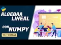 CURSO DE NUMPY BASICO ALGEBRA LINEAL CON PYTHON