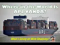 Where in the World is APL VANDA What s Going on With Shipping