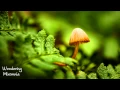 Download Lagu Wondering - Liquid Drum \u0026 Bass Mix 2013 HD
