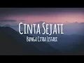 Download Lagu Cinta Sejati - Bunga Citra Lestari (Karaoke)