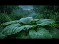 Dusk Garden Hosta Leaves 🌿 Gentle Rain & Distant Thunder for Deep Sleep