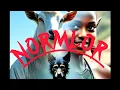 Normlor by kenney nyanya. #dangme #dangmesong #dangmeculture #krobo #shai #osudok #ada #yilo #manya