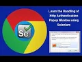 Selenium How to Handle Authentication Pop Up in Selenium
