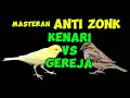 Lagu Kenari Vs Gereja | Masteran Anti Zonk Roll Panjang