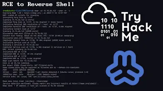 Exploiting RCE in MiniServ for Reverse Shell Access TryHackMe Source Walkthrough