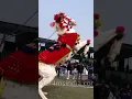 Download Lagu Horse 🐎 Dance viral YouTube #trending #animals #horse #youtubeshort #cute