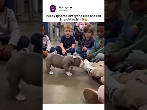Puppy ignored everyone else❤️‍🩹🥹