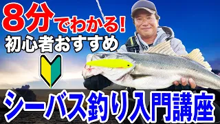 【シーバス釣り入門講座】初心者が最短でシーバスを釣るための方法！オヌマンのシーバス塾