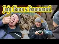 Lagu Binek i Dygotka | Jajo Emu z bananami