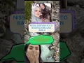 Download Lagu NISYA  SABYAN DAN WULAN JAMILA #nisyasabyan #artist
