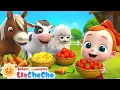 Lagu Baby Memberi Makan Hewan | Waktu Makan Hewan Kecil | Lagu Anak-anak |  LiaChaCha Bahasa Indonesia
