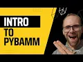A Basic Intro to Pybamm