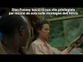 Video di Gorilla nella Nebbia - trailer ita HD  (Gorillas in the Mist)