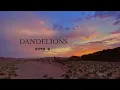 DANDELIONS - Ruth B. (Lo-Fi version )// slowed + reverb