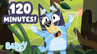 Bluey has to BEWARE of spiders in the creek!🕸️🕷️😱 | 120 MINUTES | Bluey