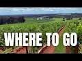 Virginia s Award Winning Wine Region REVEALED