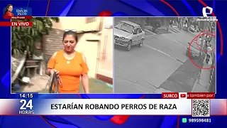 Vecinos de Surco denuncian presunto robo de perros de raza