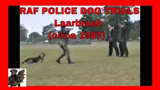raf police dog trials circa 1987 military dogs